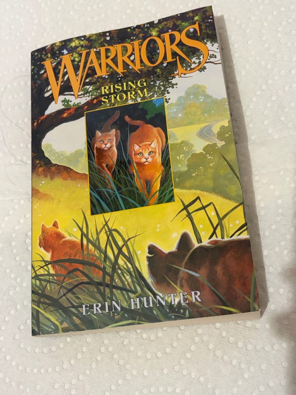 Rising Storm (Warriors, Book 4) - Paperback By Hunter, Erin -